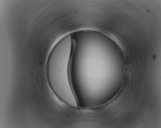 X0000093731140200710160807