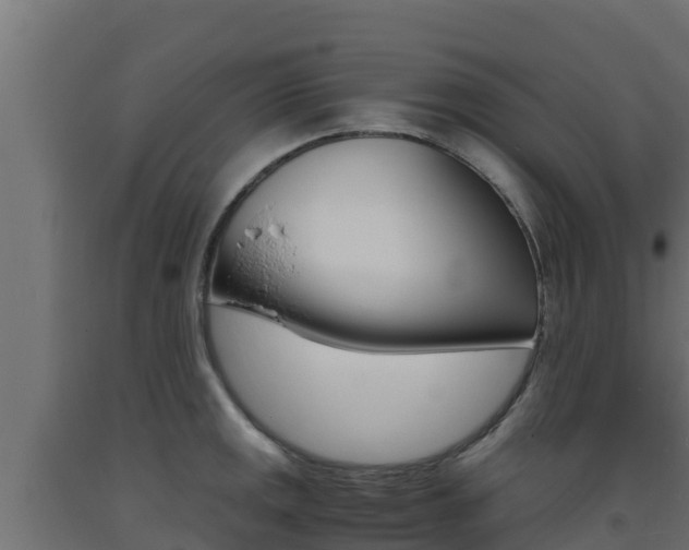 X0000093731141200710160807