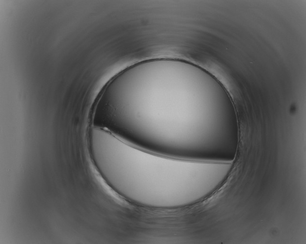 X0000093731142200710160807