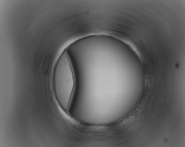 X0000093731143200710160807