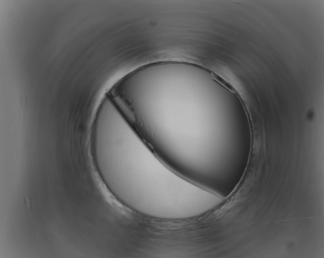 X0000093731144200710160807
