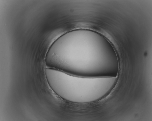 X0000093731145200710160807