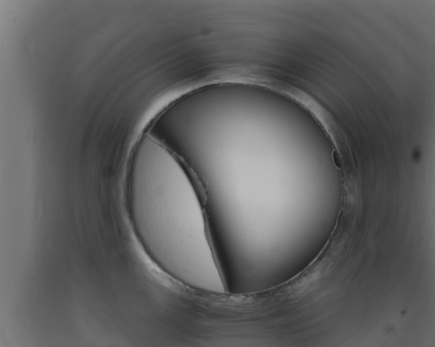 X0000093731147200710160808