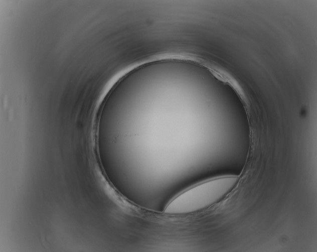 X0000093731148200710160808