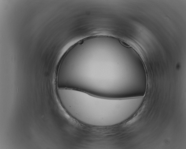 X0000093731149200710160808