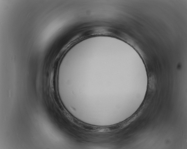 X0000093731150200710160808