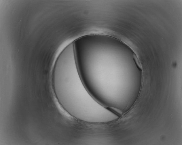 X0000093731152200710160808