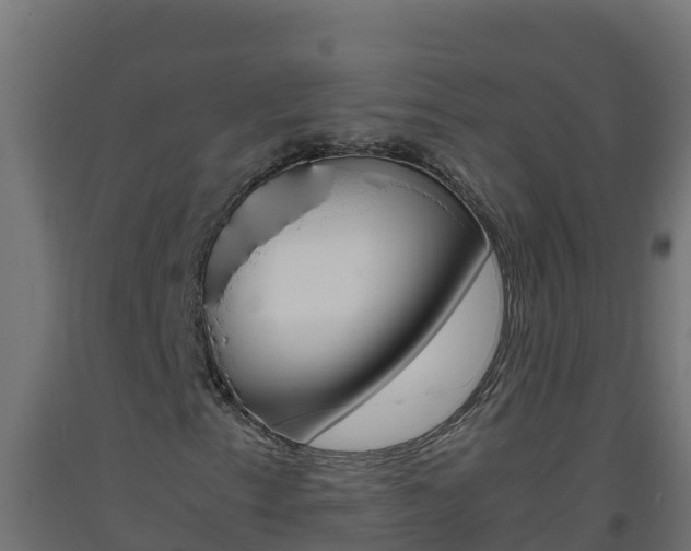 X0000093731153200710160807