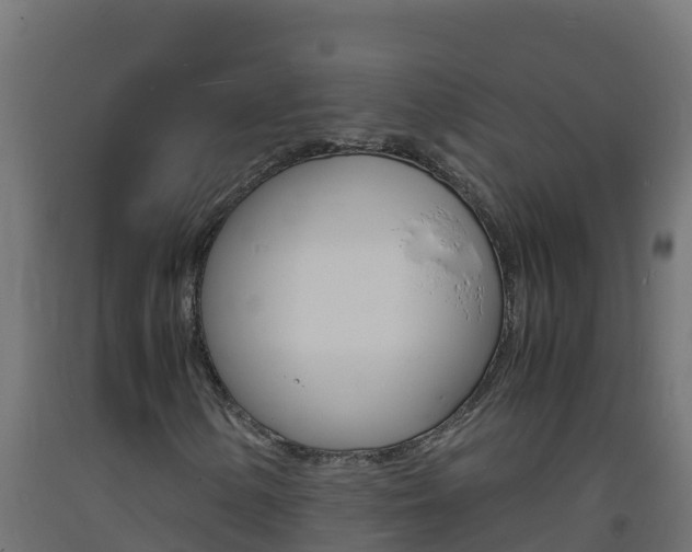 X0000093731154200710160807