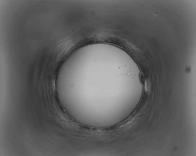 X0000093731155200710160807