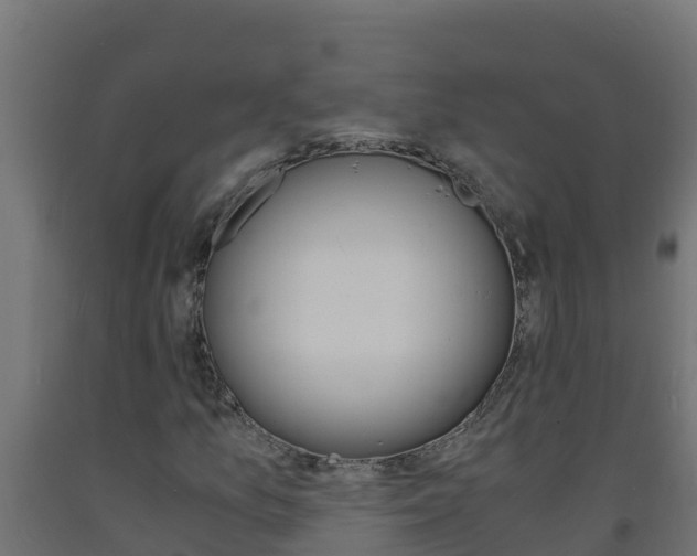 X0000093731157200710160807