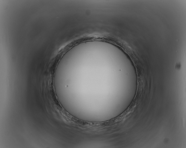 X0000093731158200710160807