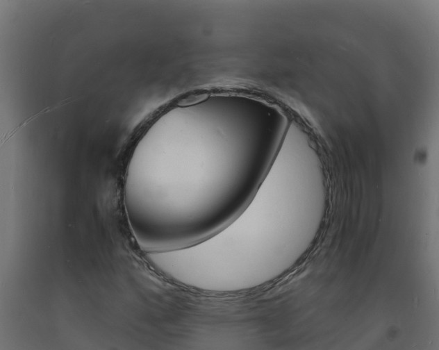X0000093731160200710160807