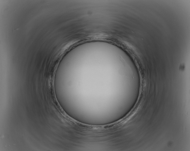 X0000093731161200710160807