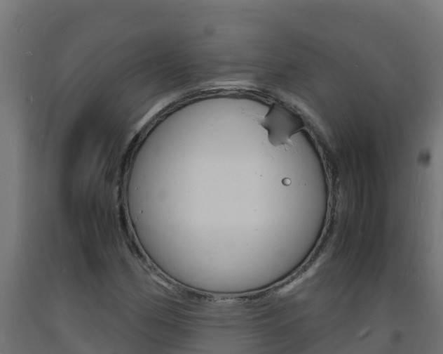 X0000093731162200710160807