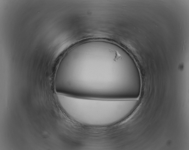 X0000093731163200710160807