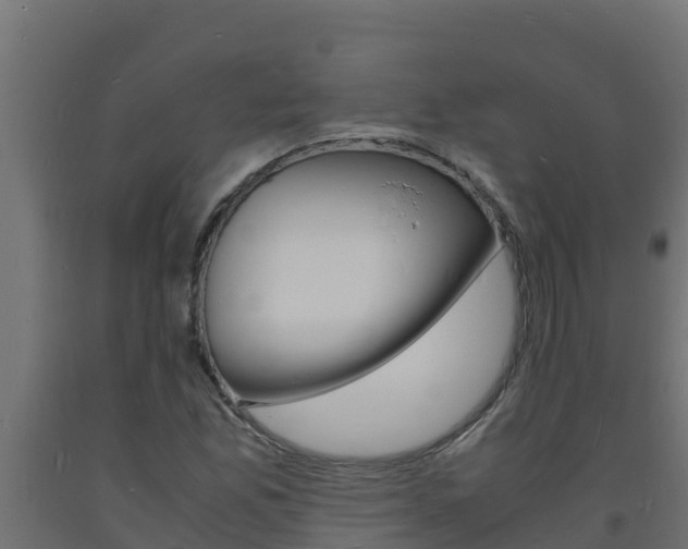 X0000093731165200710160807