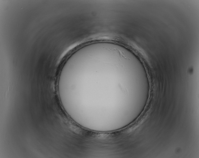 X0000093731166200710160807