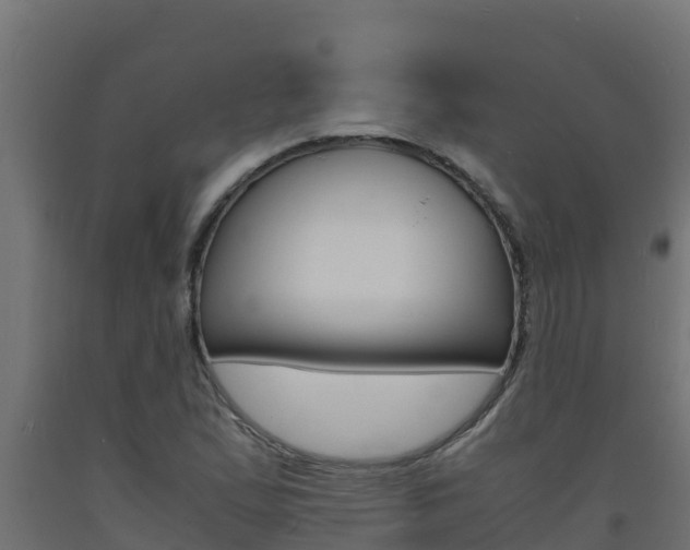 X0000093731167200710160807