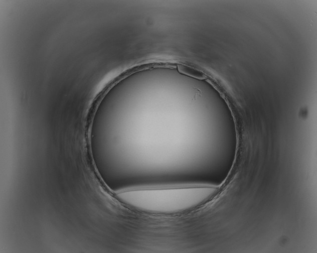 X0000093731168200710160807