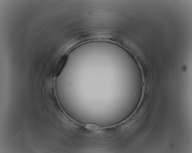 X0000093731169200710160807