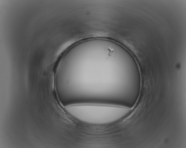X0000093731171200710160807