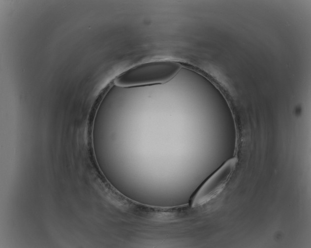 X0000093731173200710160807
