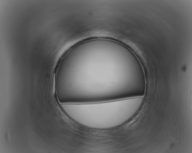 X0000093731175200710160807