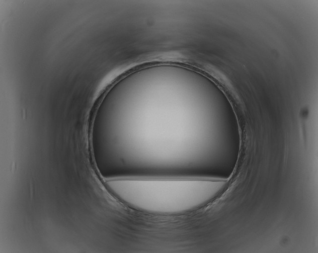 X0000093731176200710160807