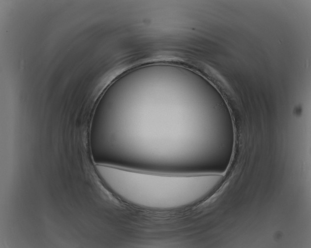 X0000093731177200710160807