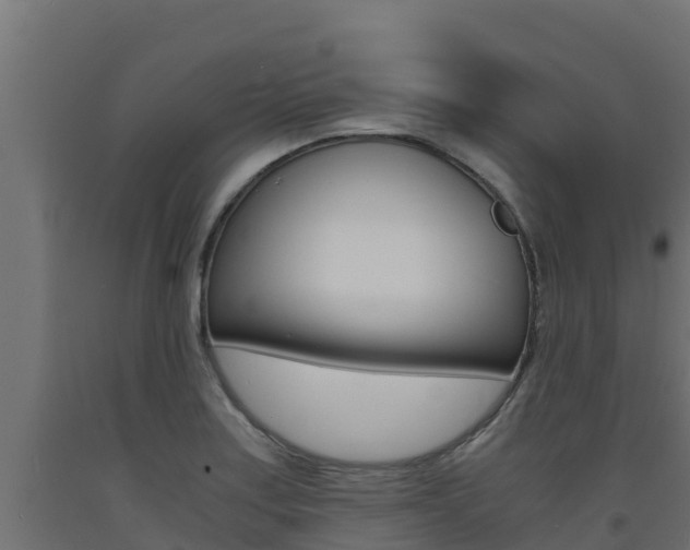 X0000093731179200710160807