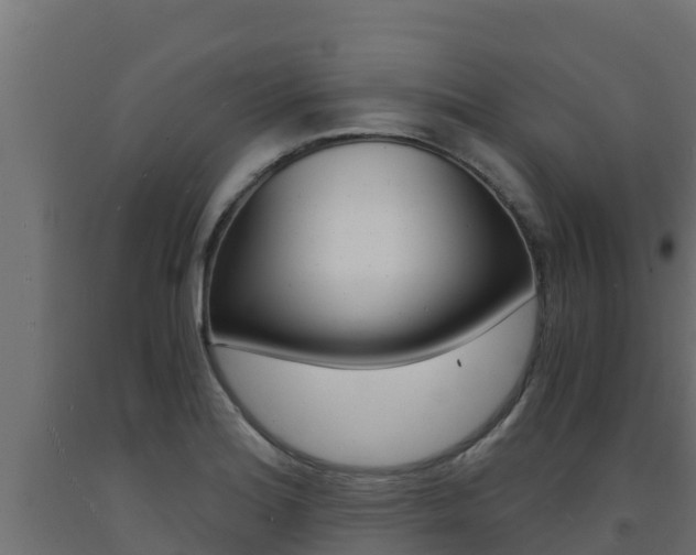 X0000093731180200710160807