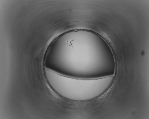X0000093731181200710160807