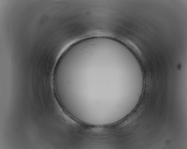 X0000093731182200710160807