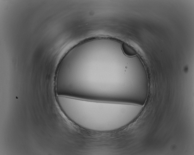 X0000093731183200710160806