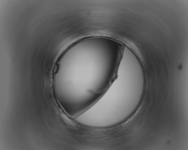 X0000093731184200710160806