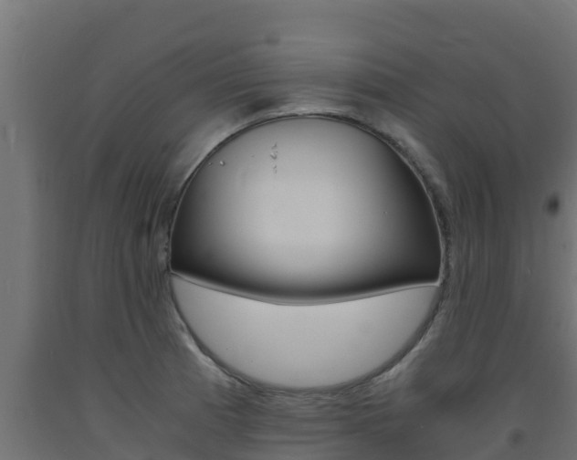 X0000093731185200710160806