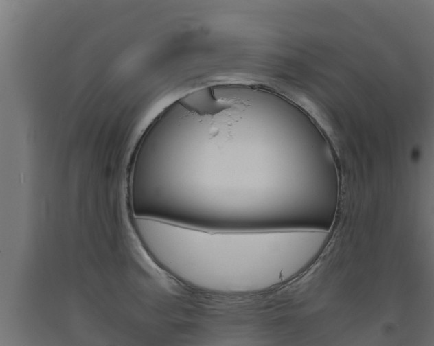 X0000093731187200710160806