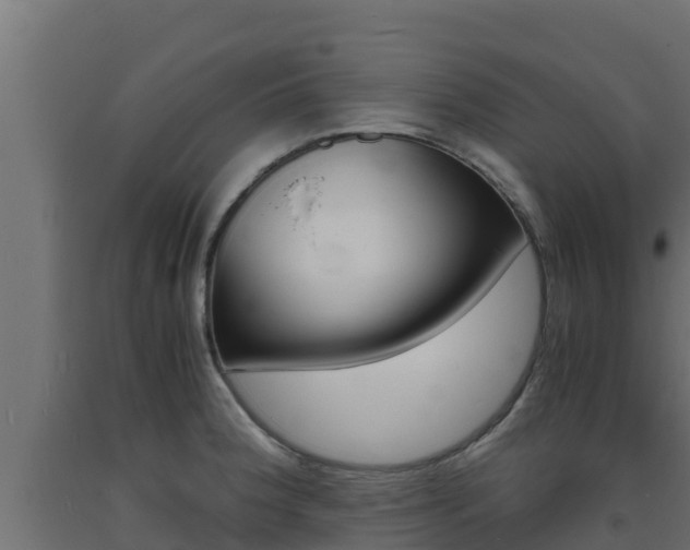 X0000093731188200710160806