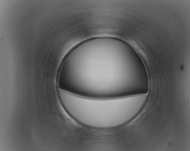 X0000093731189200710160806