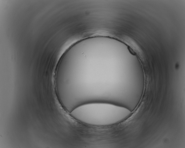 X0000093731190200710160806