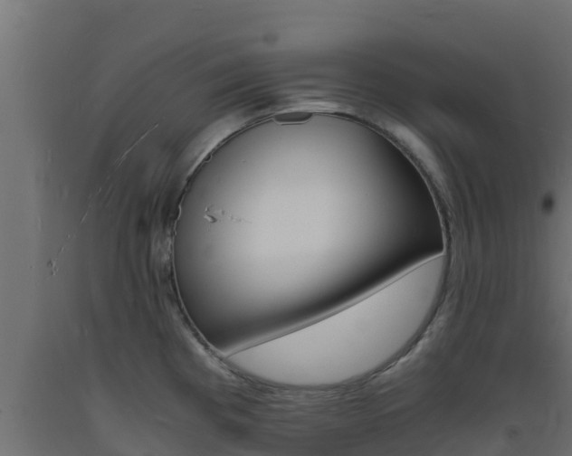 X0000093731193200710160806