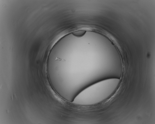 X0000093731194200710160806