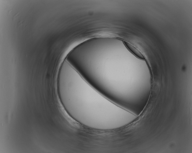 X0000093731195200710160806