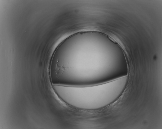 X0000093731197200710160806