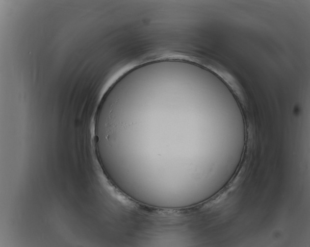 X0000093731198200710160806