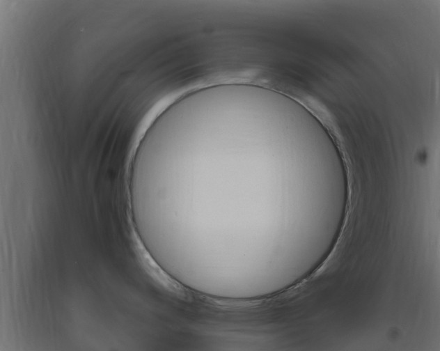 X0000093731200200710160806