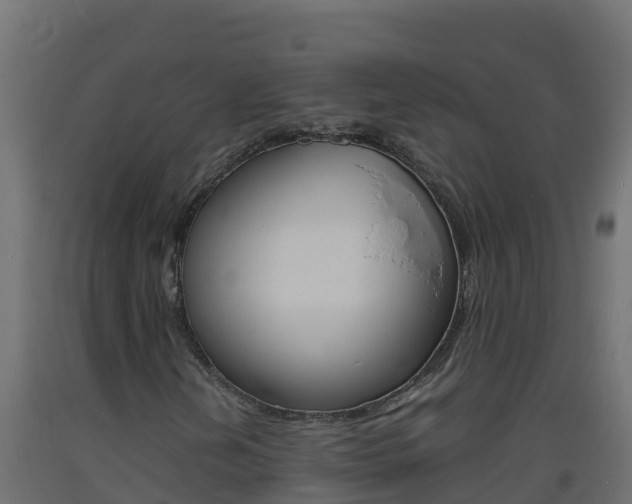 X0000093731202200710160806