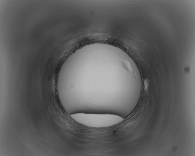 X0000093731203200710160806
