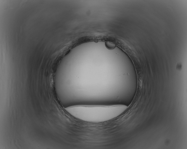 X0000093731204200710160806